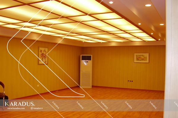 P5200136 6c9faae3b1f93dbd18cd1046f76d6735 - False Ceiling