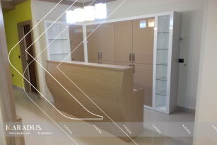 n2 13 cb88e3ee776a536c3bffeda47dd2059f - The interior design of Dr. Islami's office