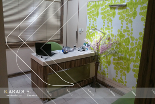 n2 9 6d054e25e4f0b0a8cae6395f1324e3b2 - Interior design of Dr. Khaleghian's office