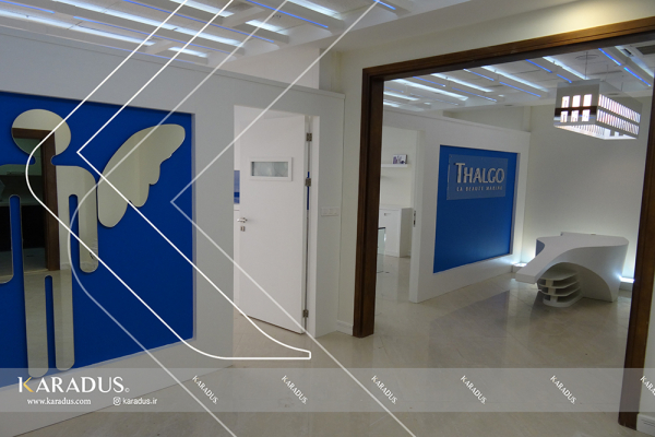 new9 e156352eac5d970ca7844cc64ef9f3ce - False Ceiling