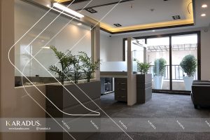n4 300x200 - Portfolio of Karadus